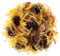 Calendola Fiore Tisana - Ottima Per Dessert - Calendula Infusione Fiori Calendula Fiori Te Di Fiori Calendula Infuso Fiore Te Tisane Fiore Fiori Del Te Tisana Fiore