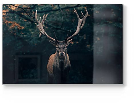DEQORI Planche à découper en verre | Grande taille 30 x 20 cm | Motif élan dans la forêt de Teutoburger | Planche à découper design pour la cuisine | Planche à petit-déjeuner antibactérienne &