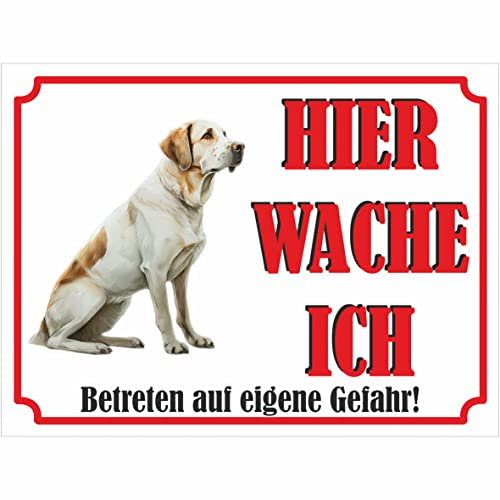 INDIGOS UG - Labrador Retriever - Schild bedruckt - Hier wache ich - Aluverbundplatte weiß - ab 20x15 cm - Spruch - Deko Geschenkidee für Ihren Hund - Zaun - Türschild