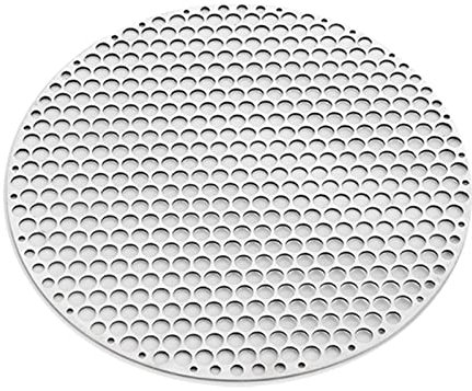 Lioaeust Grille de barbecue ronde en acier inoxydable pour barbecue (F) 28 cm