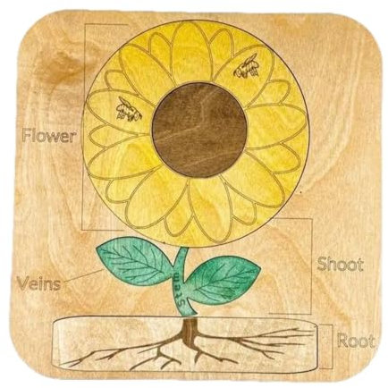 Harilla Hölzerne Sonnenblumen -Puzzle -Form passende Puzzle -Matching -Spiel Venen Wurzel Lernen Lernstamm Spielzeug für Farben Farbwahrnehmung