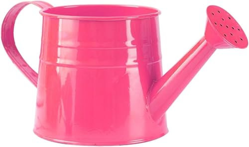Gießkanne klein für den Zimmerpflanzen 1L, Blumengießkanne aus Metall, Giesskanne Pflanzengießkanne, kleine Gießkanne, Gartengießkanne Watering Can Blumentöpfe Kleine Vasen Gartenwerkzeug (Dunkelrosa)