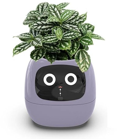 Pot De Planta Inteligente con Expresión, Ai Smart Planter Robot para La Decoración Interior, Inteligente Planter Incluye Sensor De Agua/luz/Temperatura, Plantador Inteligente Ivy Purple