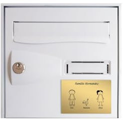 DECOHO - Plaque de Maison personnalisée Family - Plaque boîte aux Lettres Plastique - Couleur Or Lettres Noires - Format 12x8 cm adh