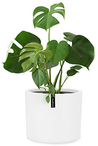 Fox&Fern Übertopf M - Blumentopf Groß Mit Wasserspeicher - 24cm Hoch, 25cm Durchmesser - Für Zimmerpflanzen - Pflanzentöpfe Groß - Plant Pot - Weiß