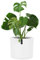 Fox&Fern Übertopf M - Blumentopf Groß Mit Wasserspeicher - 24cm Hoch, 25cm Durchmesser - Für Zimmerpflanzen - Pflanzentöpfe Groß - Plant Pot - Weiß