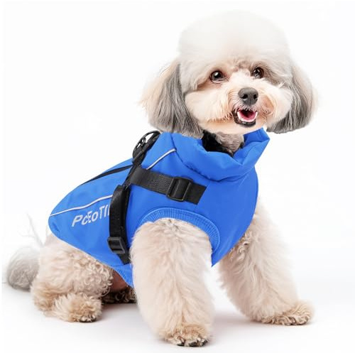 PcEoTllar wasserdichte Jacke mit Geschirr für kleine Hunde, Blau S | Warme reflektierende Jacke mit Geschirr für Winter. Ski-Kostüm, Baumwolle, Hundepullover für kl