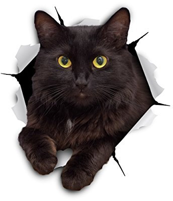 Winston & Bear Cat Adesivi 3D - Confezione da 2 - Cheeky Sticker Gatto per la parete, frigorifero, servizi igienici e di più