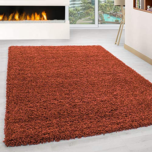 Ayyildiz Teppich-Hochflor Shaggy Teppich Unicolor einfarbig Wohnzimmer Flauschig, Polypropylen, Terracotta, 120 X 170