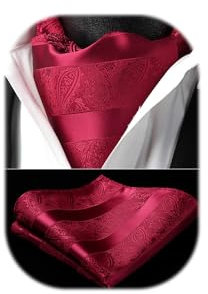 HISDERN Krawattenschal Rot Herren Paisley Hochzeit Ascot Krawatte Taschentuch Business Blumen Halstuch und Einstecktuch Set