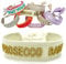 LS-LebenStil Exklusives Statement Armband Quasten besticktes Boho Canvas Webarmband (Prosecco Baby)