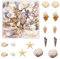 Julie Wang 1 Box von 200 Stück winzige Muschel Seestern natürliche kleine Muschel Ozean Muscheln für DIY Miniatur-Strand Critter Dekor Kunst Handwerk Projekte Fisch Tank Vase Füller