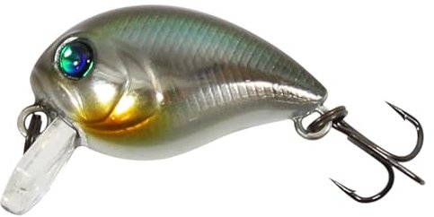 SEABUZZ Wobbler Chub Bug 2,4g x 2,7cm Flachläufer 0,3m - Hecht Zander Forelle Barsch Wels Angelköder mit Drillingshaken - Raubfisch Angeln Köder - Kunstköder - Forellenköder - Fishing Lures (107-MHGM)