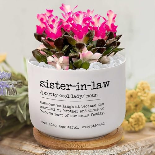 Cuñada Definition - Macetas de cerámica para cuñada, planta viva de interior con maceta con agujeros de drenaje y platillos, maceta de orquídeas para jardín, decoración del hogar, regalo para el hogar