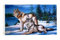 U24 Fahne Flagge Wölfe Wolf Hund 90 x 150 cm