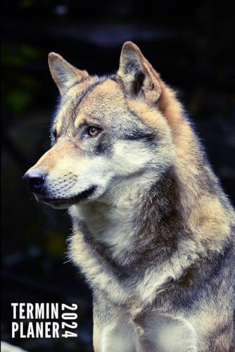 Terminplaner 2024: Wolf - Taschenkalender | Wochenplaner, Terminkalender von Januar bis Dezember 2024 Ideal für Studenten, Berufstätige und ... Kontaktliste, Notizen - Klein Taschenformat
