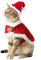 NAMSAN Weihnachtskostüm für Katze Katzenkostüm Weihnachten mit Weihnachtsmütze und Rot Umhang Nikolaus Kostüm für Katzen/Klein Hunde