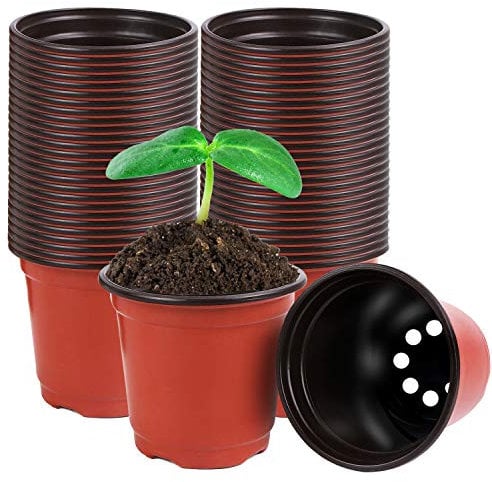 Augshy Plastik Blumentöpfe, 40 Stück 10cm Garten Pflanztöpfe Kunststoff Anzuchttöpfe für Sukkulenten Setzlinge Stecklinge Umpflanzen(Rot)