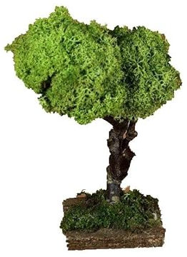 Holyhome Albero per Presepe in Lichene h15 con Base in Legno