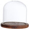 MagiDeal Cloche de en Verre avec Couvercle en Bois de Support de Paysage des Fleurs, Brown E