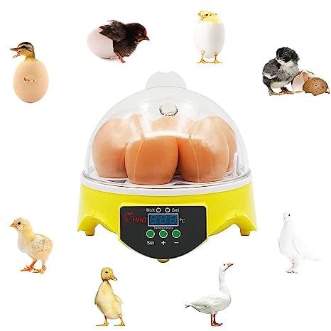 MOGOULUA Mini Ei Inkubator 7 Eier Brutmaschine Ente Brutgerät Hatcher für Vogel Temperatur Automatische Steuerung Inkubator mit LCD Digital Screen Geflügel Brutwerkzeug mit Sichtbare Abdeckung