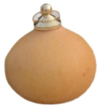 LOVIVER Gourd Pendant Calabash Ornament Traditional Sturdy Decorative Dried Gourd Bottle Feng Shui Craft for Bedroom Living Room, Style B