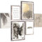 Novart Wandbilder Set Löwen Liebe Beige - KEIN EXTRA RAHMEN BENÖTIGT - Modern Deko - Wohnzimmer Schlafzimmer N018563a
