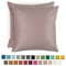 Blumtal 2er Set Kissenbezug 40x40 cm Lila - dekorativer Samt Kissenbezug mit verstecktem Reißverschluss, Kissenhülle für Zierkissen Deko-Kissen Polster Sofakissen & Couchkissen, waschbar