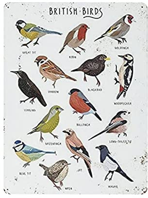 British Game Birds Vintage Eisen Home Bar Wanddekoration Kunstdruck Poster Restaurant Dekor 40 x 30 cm