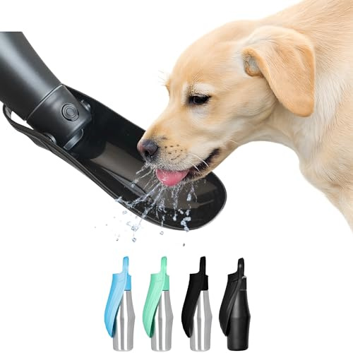 KANDONEX Hundetrinkflasche Edelstahl 800 ml 2 in 1 Wassernapf, All Black | Auslaufsicher, Für unterwegs, Auto & Wandern geeignet, Wasserspender To go