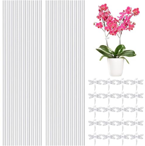Generico Plant Support Clips, Plant Stakes for Climbing Plants, Acrylic Garden Stakes for Support, Clear Acrylic Support Sticks, Plant Support Stakes for Roses, Transparent Stakes for Peas And Flowes
