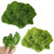 Tcnzdy 150g Moos, Deko Moos KüNstlich, Moos Zum Basteln Kunstmoos Kunstmoos Zum Dekorieren für Gartenkunst/Wanddekoration/Floristen Dekor/Oster Tischdekoration/Hochzeitsdekoration/DIY Set