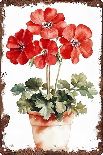 Blech-Schild Geranien Frühlingsstrauß Blume Lustiges Metall-Poster Retro Blechschild Für Höhle Kaffeebar Terrasse 20X30Cm