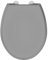 Allibert 824422 Abattant WC, Thermoplastique, Gris Brillant, 37cm x 5,8cm x 44cm
