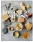 Botanical Soaps: A Modern Guide to Making Your Own Soaps, Shampoo Bars and Other Beauty Essentials (English Edition)