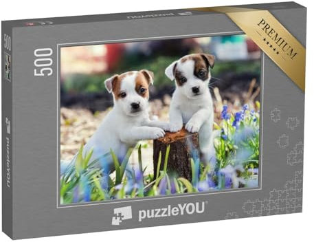 puzzleYOU: Puzzle 500 Teile „Zwei süße Jack Russel Welpen“