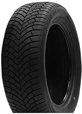 Double coin 235/55 R17 103V XL Ganzjahresreifen Allwetter M+S 3PMSF Reifen