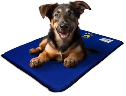 EVE Textile Hundematte | Katzenmatte | Hundekissen | Katzenkissen | Hundebett | Katzenbett | Matte für Hunde und Katzen | Beidseitig Verwendbar | Atmungsaktiv | Kühlend | 50x70x2 cm (Blau)