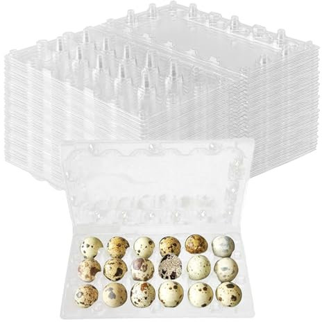 NAMYEUT 30 Stück Wachteleierschachteln 18er Plastik, 18 Gitter Kunststoff Wachtelei Kartons PVC Eierhalter, Transparente Eierschachteln mit Deckel für Wachteleier Verpackungen