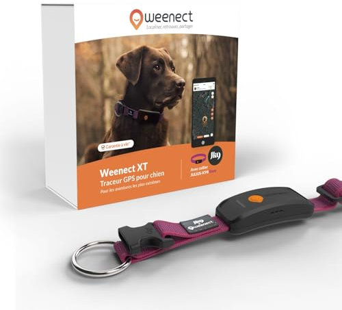 Weenect Dog XT - NUOVO Collare GPS per Cani | Antenna XL | Impermeabile | Collare ultra-resistente integrato Julius-K9 | Garanzia a vita | Abbonamento richiesto (Rosa)