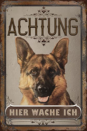 30 x 20 cm wetterfestes Blechschild, Warnhinweis, Torschild, Achtung, hier Wache ich! Warnung vor dem Hund (Schäferhund 2)