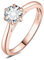 JewelryPalace 5mm 0.5ct Rund Zirkonia Solitär Promise Ring Damen, Braut Schmuck Set, Verlobungsring Damenring Ringe Silber 925 mit Stein für Frauen, Simulierte Diamant Jubiläum Eheringe Rosegold 54