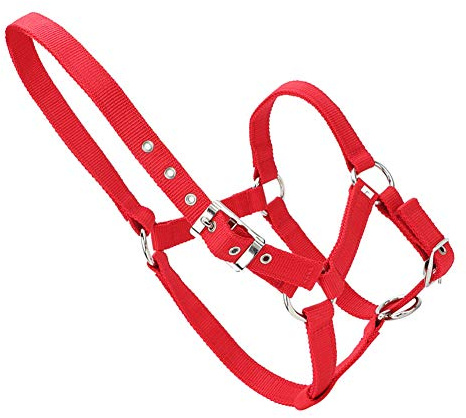 Yctze Hochdichtes, 6 Mm Dickes Gurtband, Zaumzeug, Reitzubehör, Rote Farbe, Nylon. Sport & Freizeit/Sport/ /Reitsport/Zaumzeug/Halfter und Leinen/Halfter
