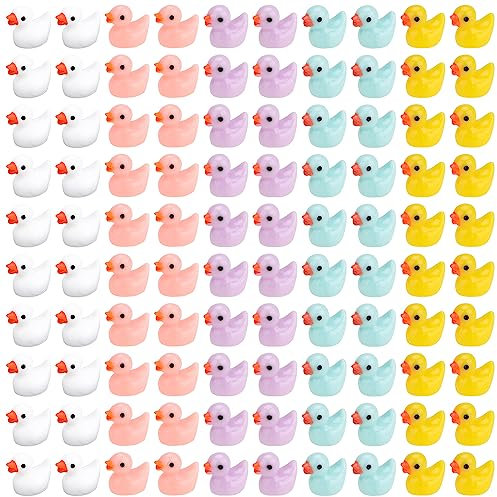 Fizdoqg Mini Harz Enten 100 Stück Miniatur Enten Mini Enten Figuren Mini Resin Ducks Tiny Resin Duck zum Basteln für DIY Potting Micro Landschaft Dekorationen Lieferungen, 5 Farben