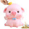 Leikurvo Salvadanaio Rosa Porcellino Kawaii in Plastica Apribile - Piggy Bank, Banca Moneta, Maiale Portafortuna - Regalo di Compleanno