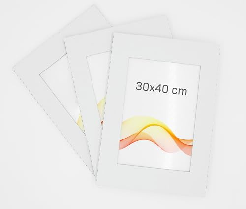 RAWWEST.BIS 3er-Set Rahmenloser 30x40 cm Bilderrahmen Bildhalter Cliprahmen Fotorahmen Kunstglas Plexi gut für Wohnzimmer, Esszimmer, Küche,Fotos Poster viele Größen Rechteckig mit Clips gut.