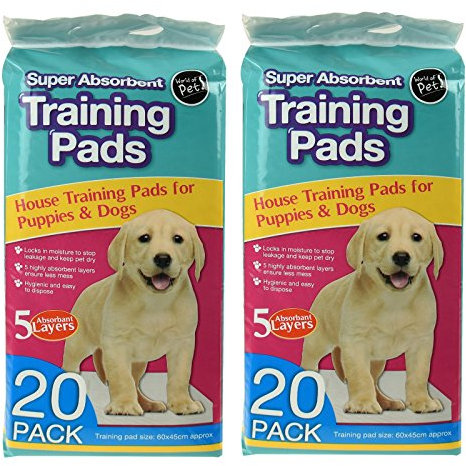 20pk Super Absorbent Pet Training Pads Puppy Dog Cat Kitten Toilet Pee Wee Mats Quick Clean Anti Odour Potty Leak Proof Indoor Outdoor - 2 pack