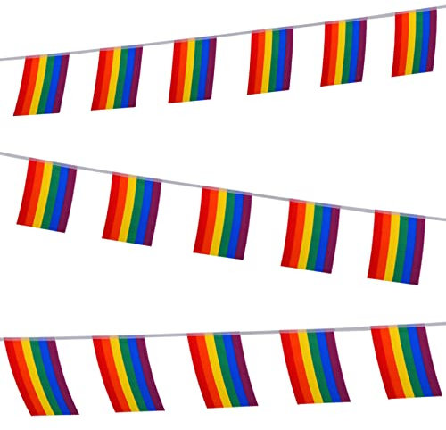 25 Flaggen Gay Pride Banner, 7m Regenbogen Flaggen Banner, Rainbow Flag Banner, Banner für Schwulenstolz Party Dekorationen, Karneval, Christopher Street Day, Mottoparty