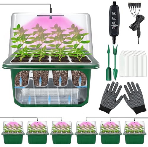 VEEKAY 6 Pièces Auto-arrosant Mini Serre pour Plantes kit,Kit de Culture Serre avec LED luminosité réglable,avec Coussin Absorbant,Température et humidité réglables,avec kit D'outils De Plantation