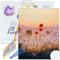 ITA Art Peinture par numéros Kit Complet avec châssis, peintures acryliques, pinceaux, Accessoires, boîte Cadeau - Kit de Peinture DIY avec Toile, 40x50 cm, Coquelicots